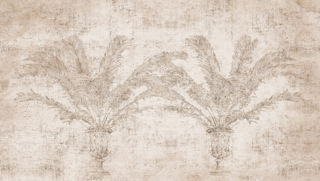 Palma